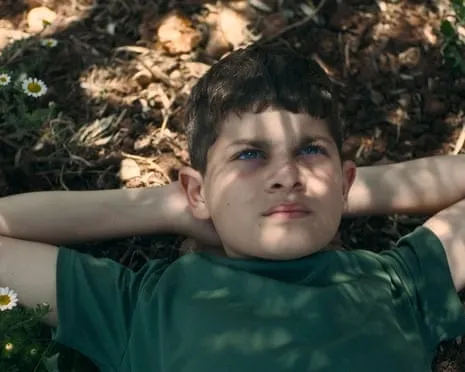 Israeli Culture Minister Vows to Cut National Film Awards After Palestinian-Themed Movie Wins Top Prize