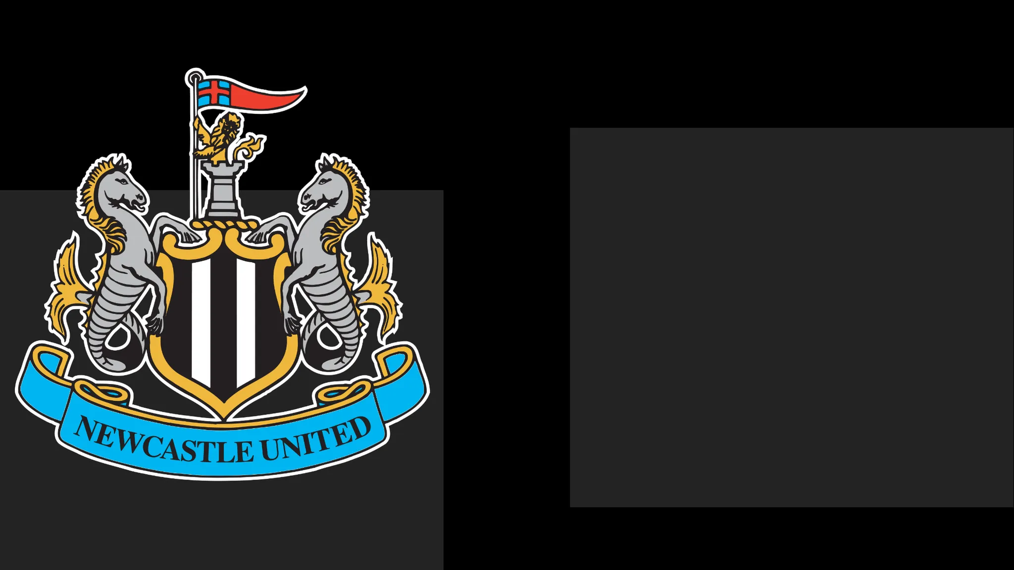 Newcastle's boss Praises Team's Heart – However That Only Carries Them So Far