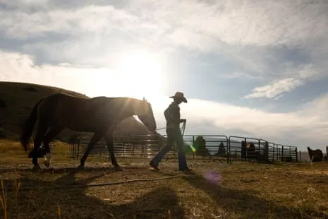 Meet the American Cowgirls Transforming Contemporary Ranch Life