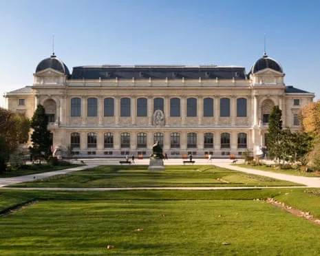 Priceless Golden Specimens Stolen in Bold Raid at France's Natural History Institution