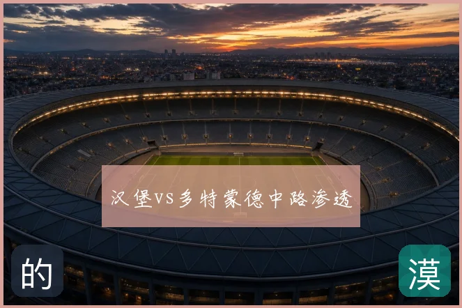 汉堡vs多特蒙德中路渗透